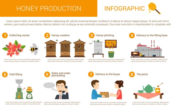 Honey production stages in infographic form — Stock Vector