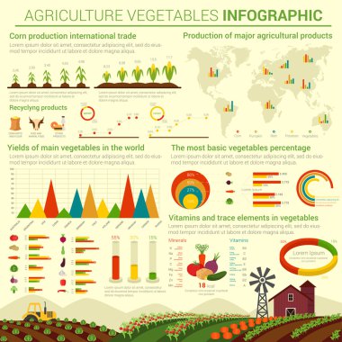 Infographic şablon tarım sebze