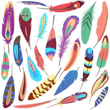 Kuş tüyü kabarık ve renkli kümesi