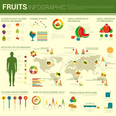 Meyve Infographic tasarım farklı grafikler ile