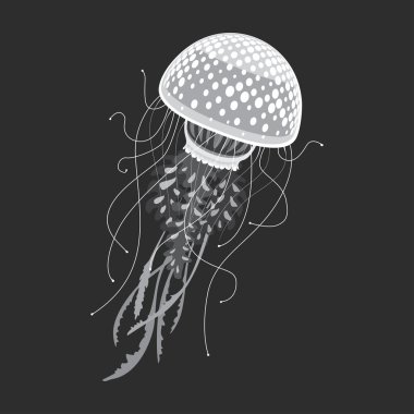 Aquarium dotted jellies, jellyfish or medusa clipart