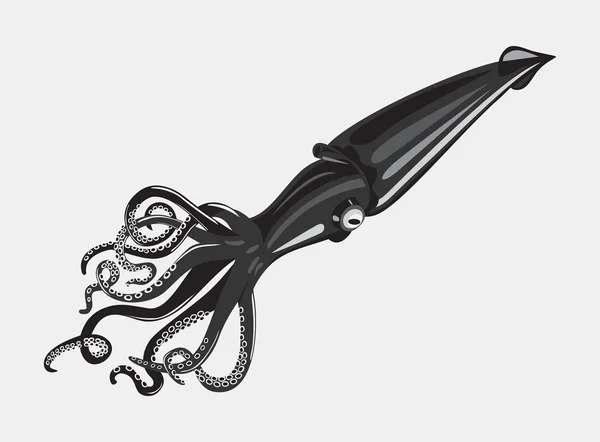 Черный кальмар или каракатица с закрученными руками — стоковый вектор