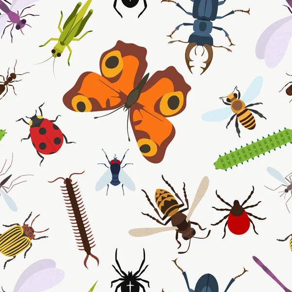 Garden insects seamless pattern. lady beetle and dragonfly, Lucanus cervus and wasp or bee, coccinellidae or ladybug, araneus orb spider and grasshopper, larvae and stag beetle, moth and bumblebee — Stock Vector