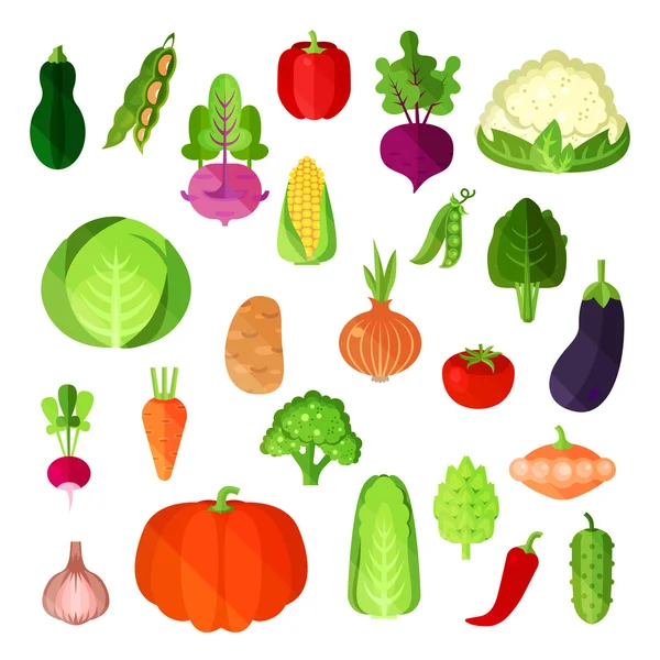 Plantaardige zomer oogst, veganistisch voedsel collectie. Aardappel en napa kool, capsicum annuum of bell en rode paprika, bloemkool en komkommer, maïs en pompoen, aubergine en radijs, ui en patty pan — Stockvector