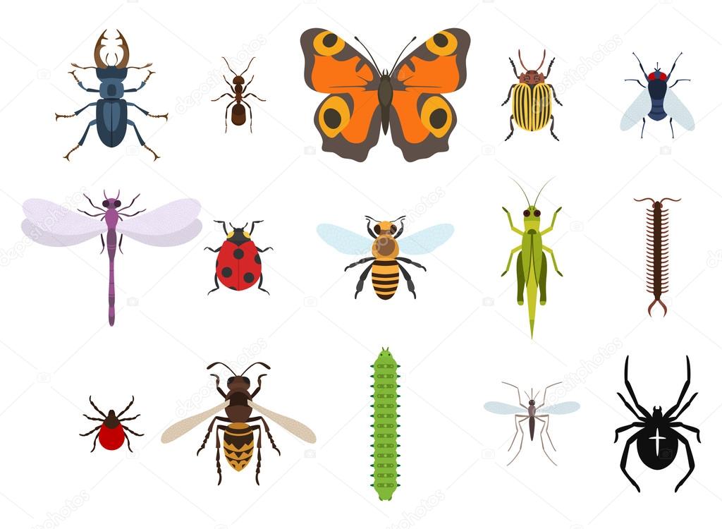 Insects, pests and midge set of icons from top view.