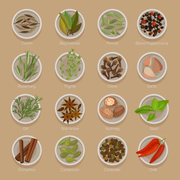 Especias o condimentos en platos como semillas y raíces — Vector de stock