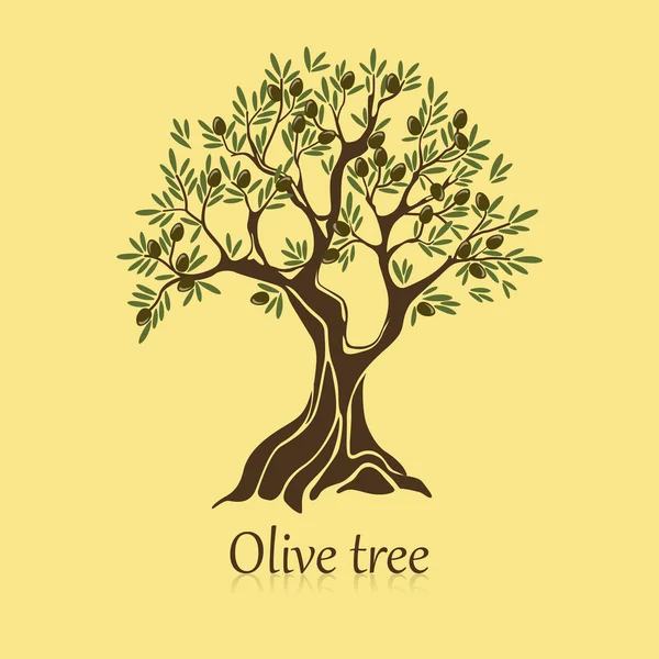 Olivo natural con ramas para pegatina — Vector de stock