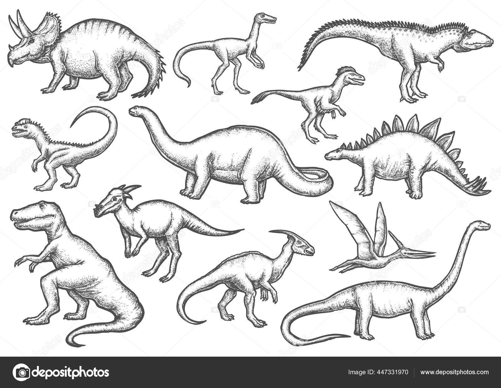 Set Terisolasi Dinosaurus Sketsa Sketsa Dino Stok Vektor C Cookamoto 447331970