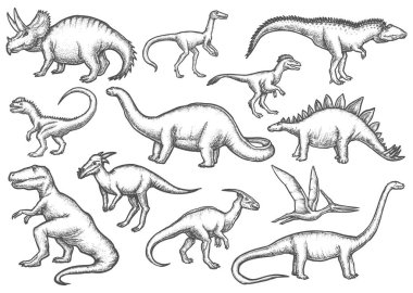 İzole edilmiş dinozor çizimleri. Dino çizimi