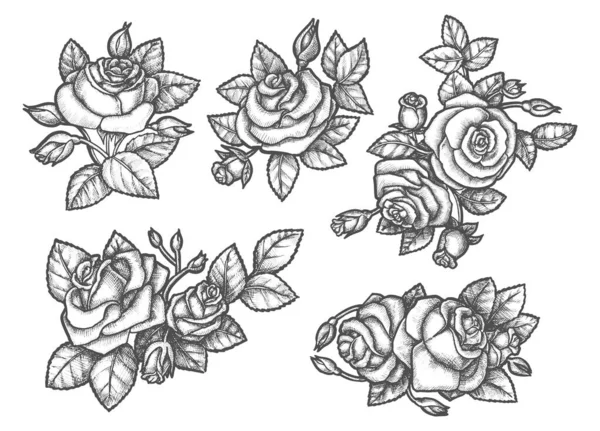 Croquis de bouquet de roses ou de fleurs dessinées à la main — Image vectorielle