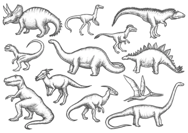 고립 된 공룡 스케치 세트. 디노의 스케치 — 스톡 벡터