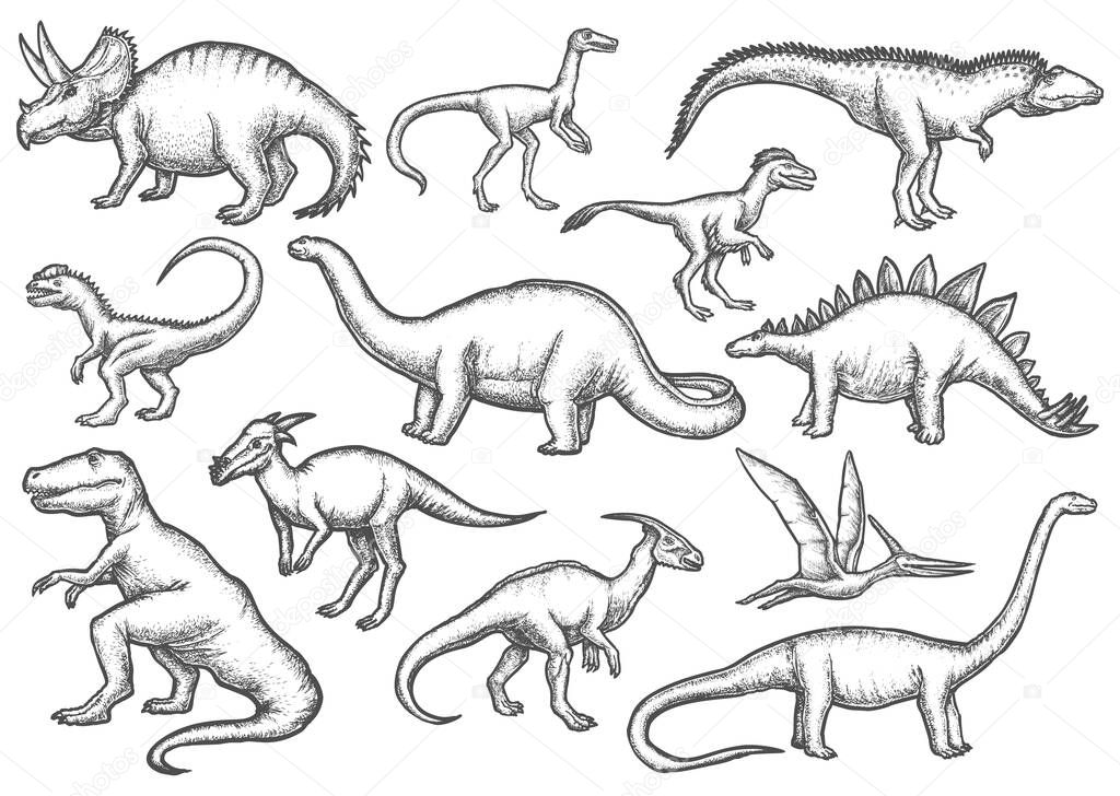 Set of isolated dinosaur sketches. Dino sketching
