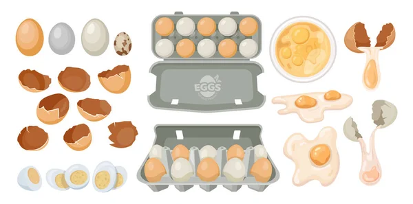 Huevos en caja de cartón bandeja y roto, producto agrícola — Archivo Imágenes Vectoriales