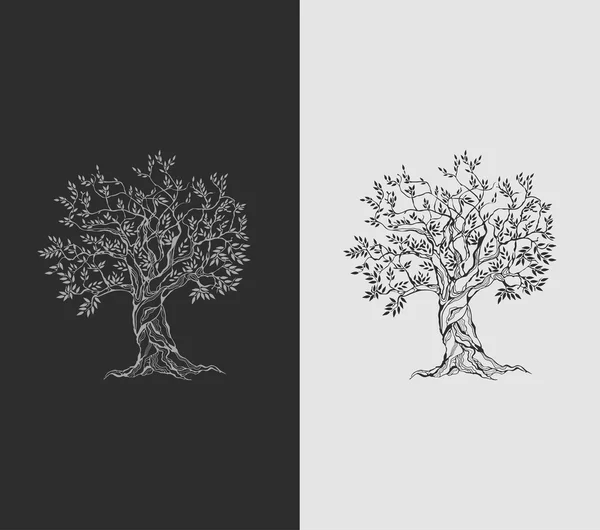 オリーブの木ストックベクター ロイヤリティフリーオリーブの木イラスト Depositphotos