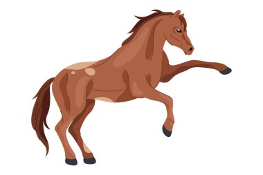 Selle Francias atı ya da Fransız hayvan cinsi. Spor şovu için vektör yarış atı ya da memeli. Yarış için hızlı kısrak. Fransa binicilik hız sembolü. At safkan aygırı hareketi ya da dörtnala, yürüyüş.