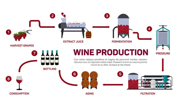 Vector illustration of wine making. How wine is made, wine elements, creating a wine, winemaker tool set and vineyard, flat infographic. Production of alcoholic beverages.