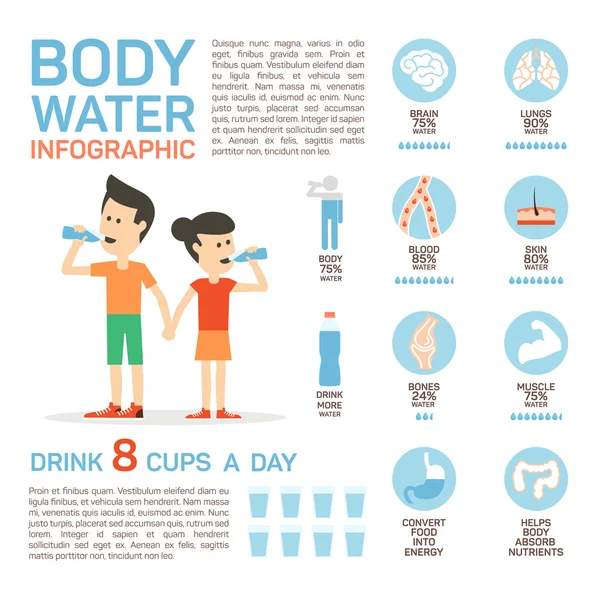 Vector flat style of body water infographic concept. Concept of drinking water, healthy lifestyle. Bottle brain body lungs bones blood skin muscle stomach. — 스톡 벡터