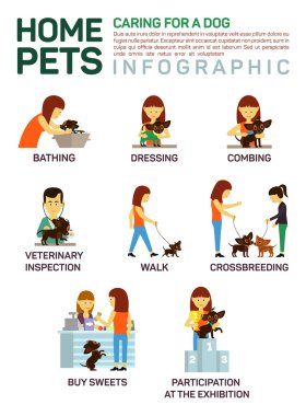 Vector flat illustration infographic of caring about pets dog. Bathing, washing, dressing, combing, veterinary inspection, going for a walk, crossbreeding, buying food, participation in an exhibition.