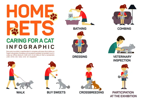 Vector flat illustration infographic of caring about pets cat. Bathing, washing, dressing, combing, veterinary inspection, going a walk, crossbreeding, buying food,  participation in an exhibition — 스톡 벡터