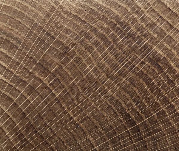 End grain wood texture — Stock Photo, Image