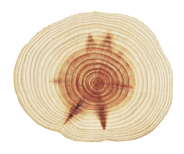 Wood stump rings — Stock Photo, Image