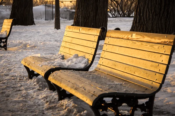 Park bench winter — Stock Photo, Image