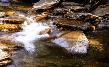 rocky stream tennessee