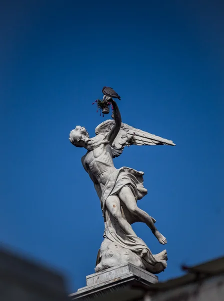 Bearded male statue recoleta — Stock fotografie