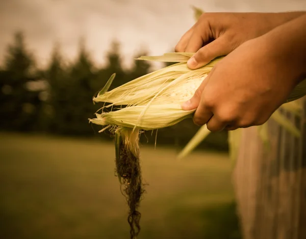 Hand peeling corn — Stock Photo, Image