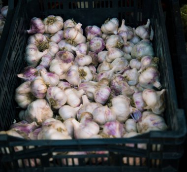Pazarda taze sarımsak soğanı.