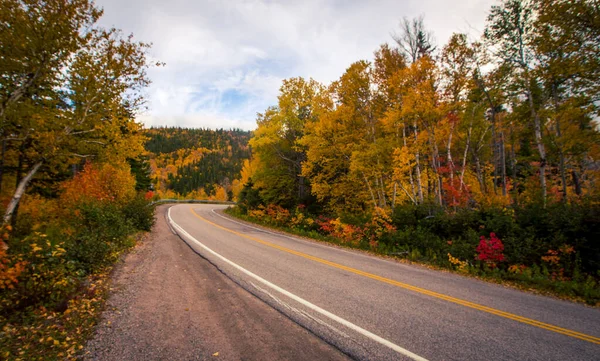 Rodovia Thru Cape Breton Highlands Park — Fotografia de Stock