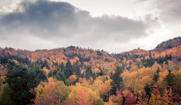 Queda Paisagem Cape Breton — Fotografia de Stock