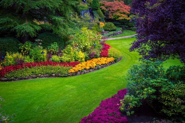 Lit Fleurs Coloré Dans Parc — Photo