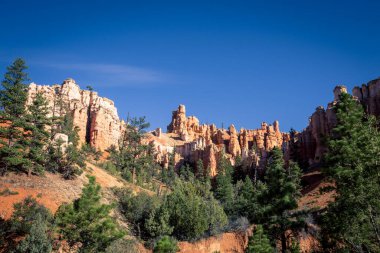 Utah eyaletindeki Bryce Kanyonu