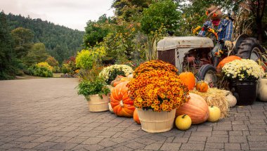 Traktör ve korkulukla sonbahar görüntüsü  