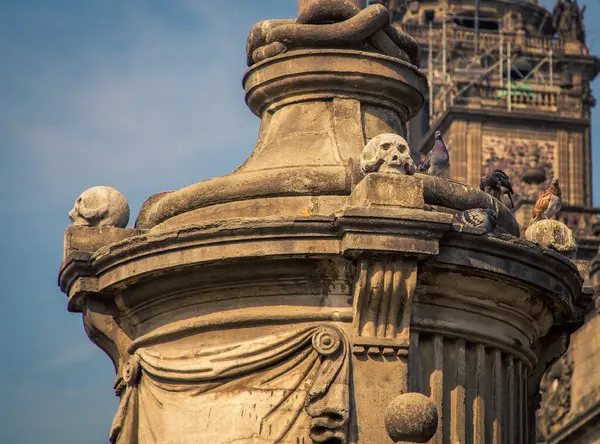 Cráneo Piedra Sienta Base Una Estatua —  Fotos de Stock