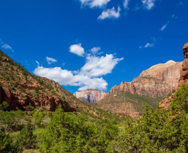 Utah 'taki Zion Ulusal Parkı
