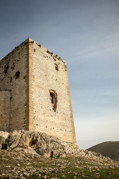 Castle wall — Stock Photo, Image