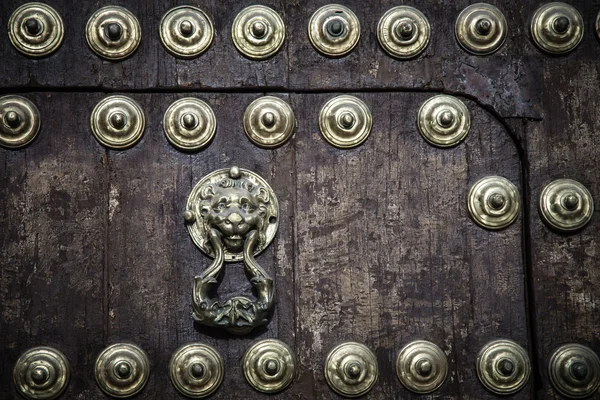 Batente da porta do leão — Fotografia de Stock