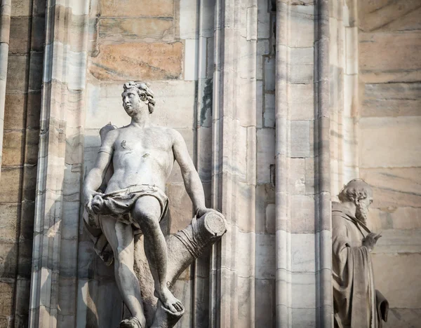 Statue on the milan cathedral — Stock Photo, Image