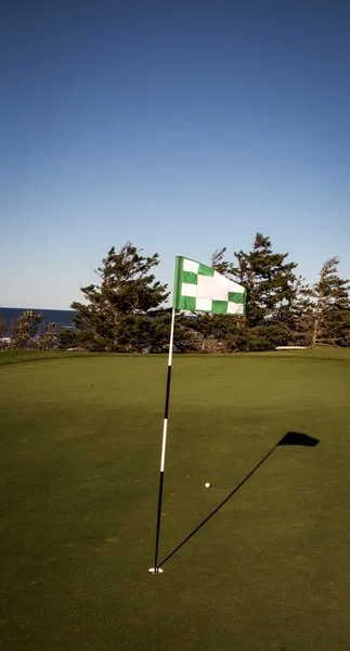 Golf zászló — Stock Fotó