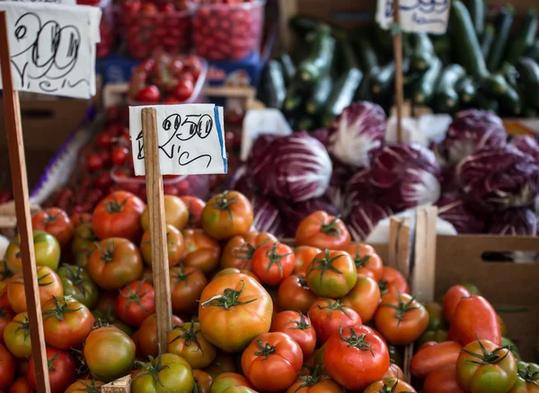 Tomatoes in italy — Stock Photo, Image