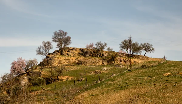 Hill with trees spain