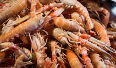 Bir yığın taze karides.