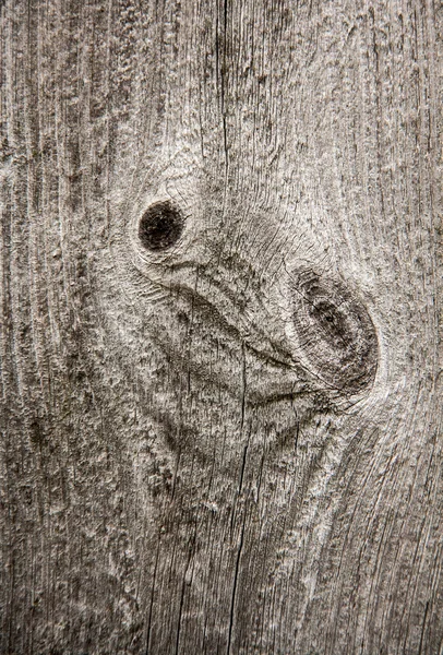 Knot on wooden board — Stock Photo, Image