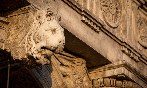 Cabeça de leão estátua veneza — Fotografia de Stock