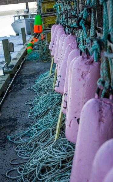 Purple lobster buoys — Stock Photo, Image