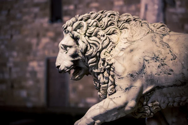 Sten lejon Florens — Stockfoto