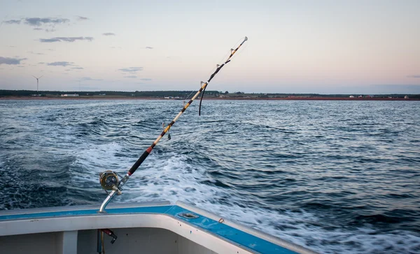 Cana de pesca e carretel de atum — Fotografia de Stock