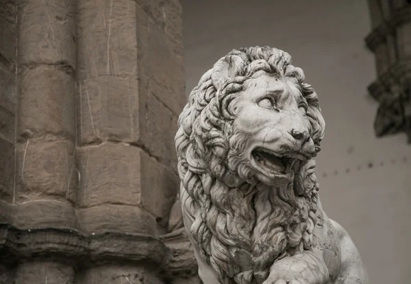 Lion statue florence — Stock Photo, Image